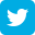 Red Fox Twitter Social media icon